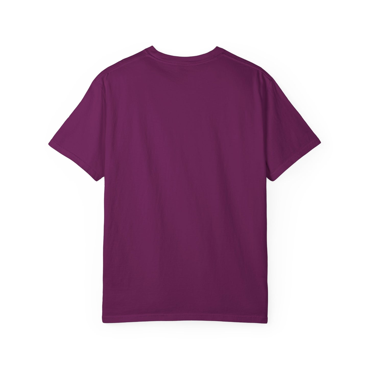 Faith-Inspired Unisex T-Shirt | Jesus Calms the Sea, Christian Gift, Relaxed Fit Tee, Spiritual Apparel, Casual Wear | guided by grace t-shirt